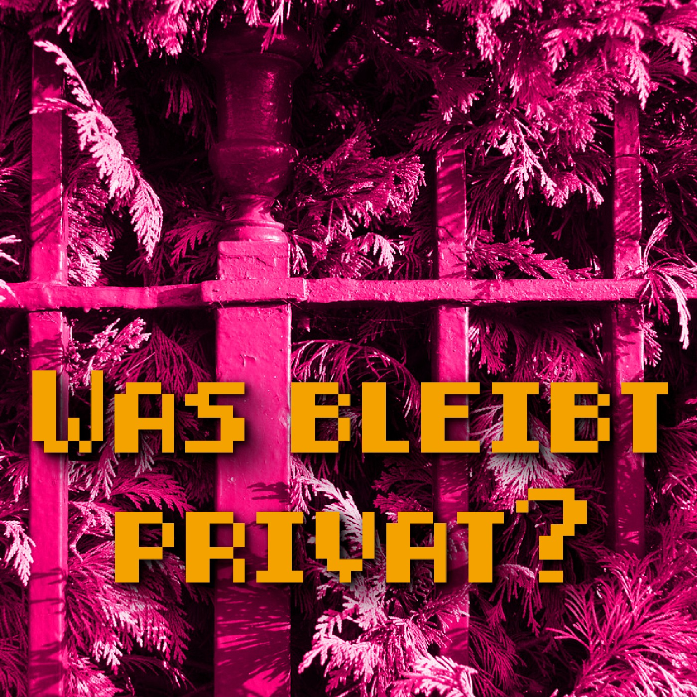 Was bleibt privat? episode artwork